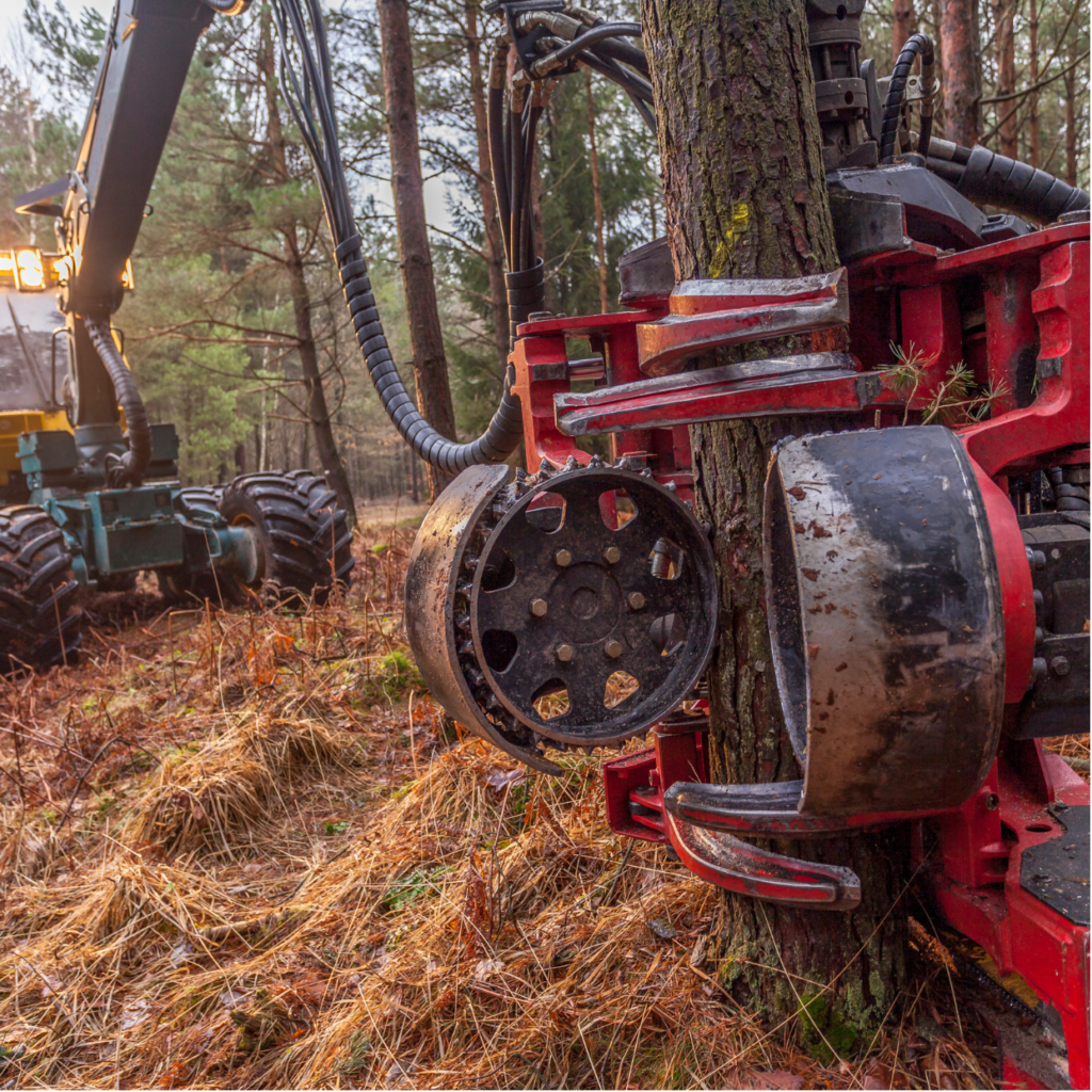 林業架線作業主任者になるなら知っておきたい「高性能林業機械」